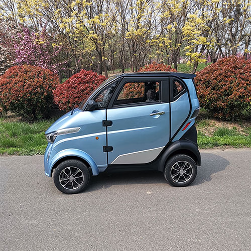 Handicapped Person Electric Vehicle